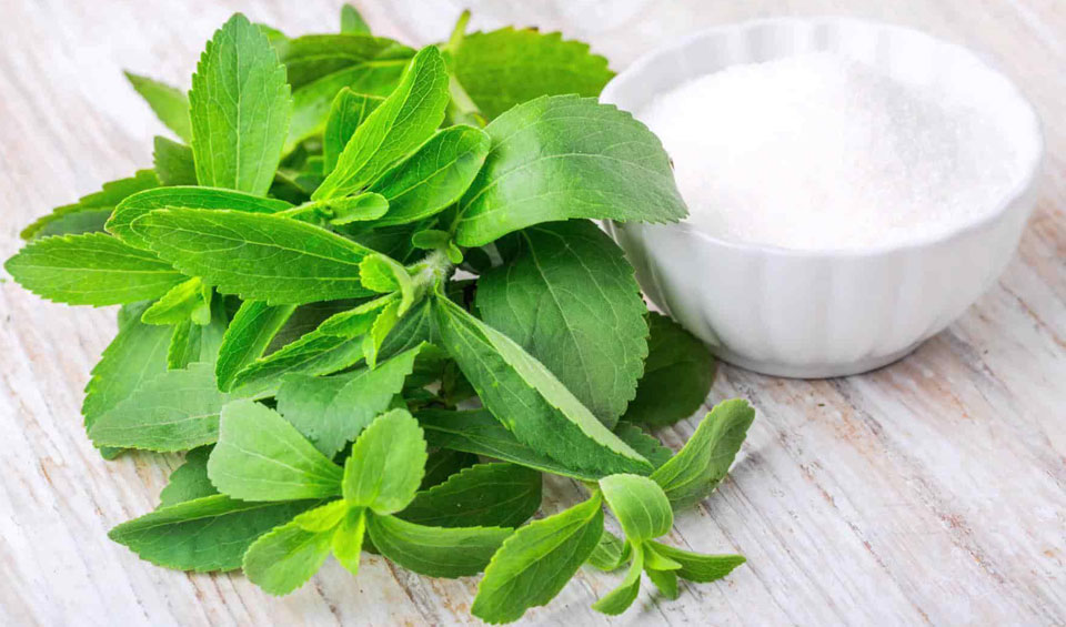 Stevia rebaudiana, endulzante natural