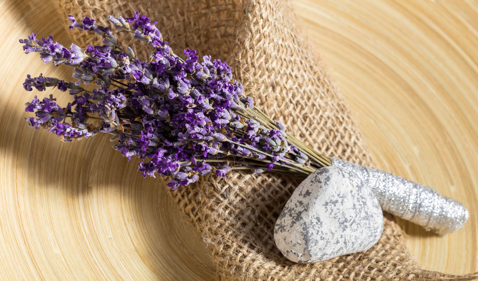 Flores de Lavandula dentata